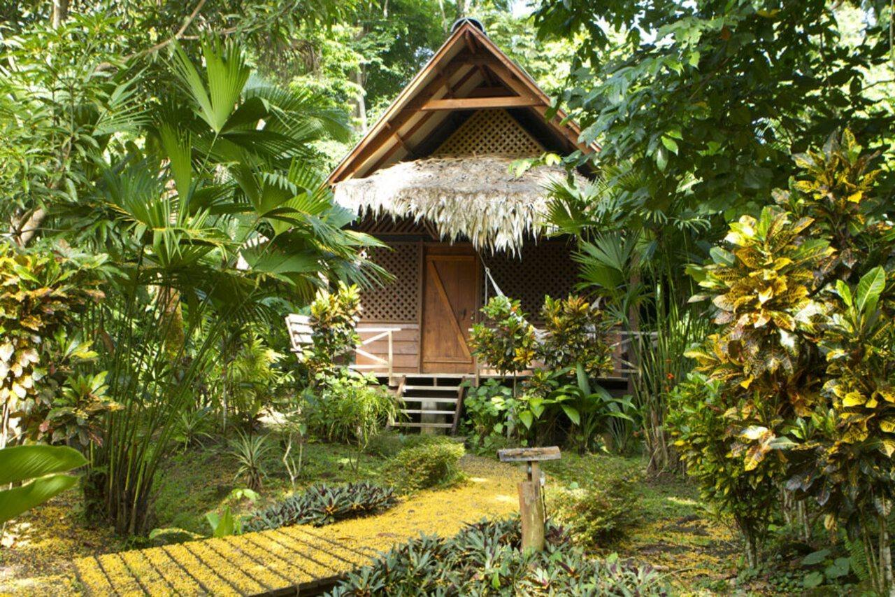 Azania Bungalows Puerto Viejo de Talamanca Exterior foto