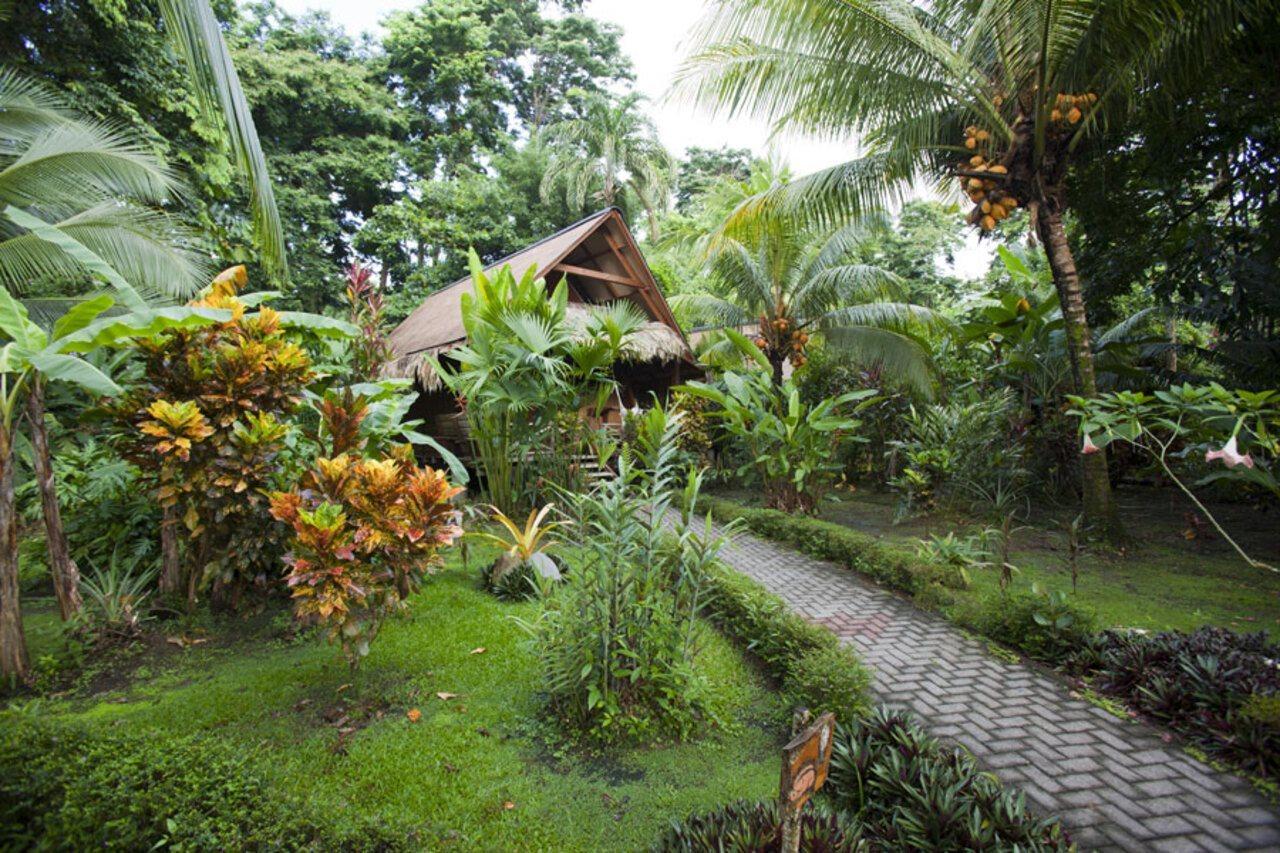 Azania Bungalows Puerto Viejo de Talamanca Exterior foto