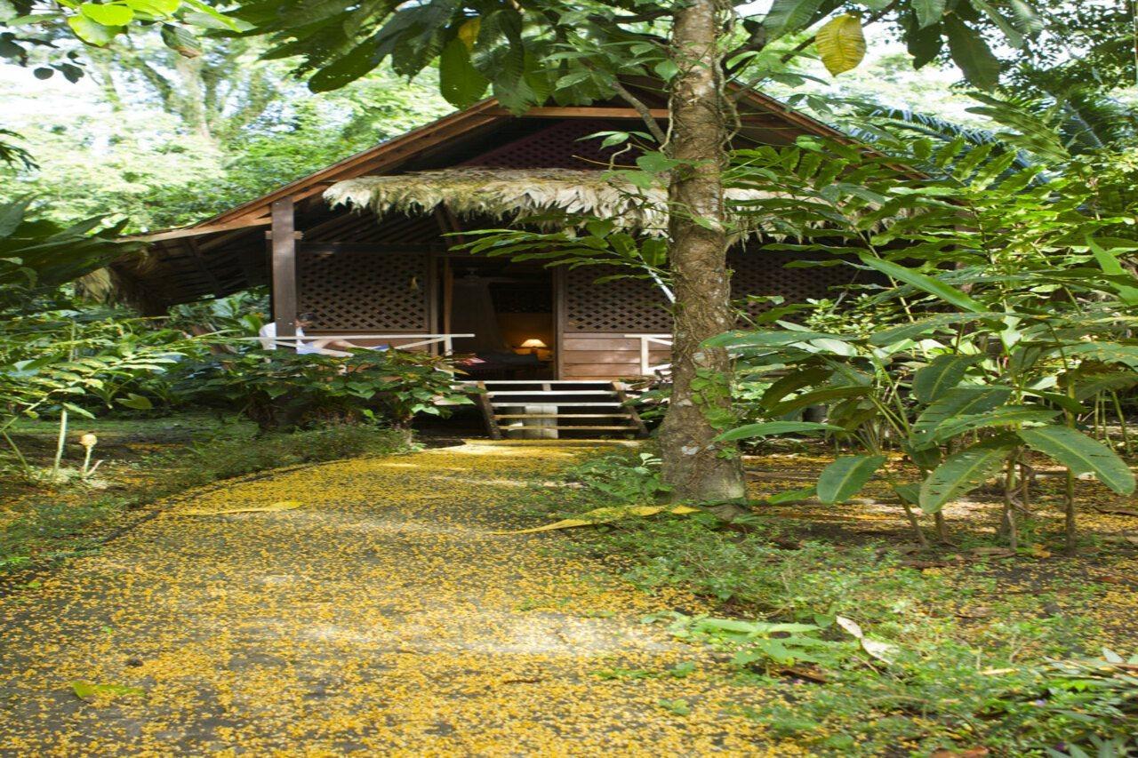 Azania Bungalows Puerto Viejo de Talamanca Exterior foto